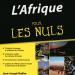 Livre - &quot;L&#039;Afrique pour les nuls&quot; : contre les idées reçues !