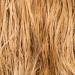 Un musée londonien va restituer une... mèche de cheveux impériale à l&#039;Ethiopie