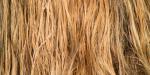 Un musée londonien va restituer une... mèche de cheveux impériale à l'Ethiopie Un musée londonien va restituer une... mèche de cheveux impériale à l'Ethiopie