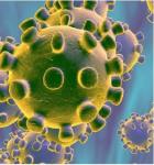 Coronavirus: Yaoundé suspend l’importation de produits d’origine animale Coronavirus: Yaoundé suspend l’importation de produits d’origine animale