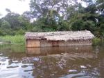 Congo-B-Département de la Likouala : deux morts et soixante-treize villages inondés Congo-B-Département de la Likouala : deux morts et soixante-treize villages inondés