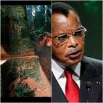 Congo-B : La chargée de mission de l'ambassade de France au Congo, Gabrielle Cathala, dézingue « l'ocologisme de façade » de Sassou-Nguesso Congo-B : La chargée de mission de l'ambassade de France au Congo, Gabrielle Cathala, dézingue « l'ocologisme de façade » de Sassou-Nguesso