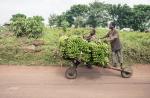 Le Congo veut exporter ses produits agricoles vers la Chine, l’Europe et les Etats-Unis