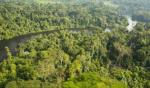 COP 26 : 1,5 milliard $ pour protéger le bassin du Congo COP 26 : 1,5 milliard $ pour protéger le bassin du Congo