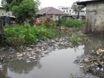 Congo-B : Pointe-Noire, 100 ans et toujours aussi sale Congo-B : Pointe-Noire, 100 ans et toujours aussi sale